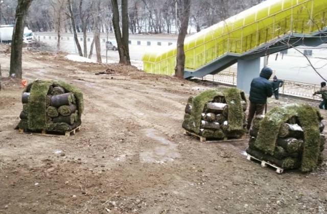 В Ростове-на-Дону в новом сквере укладывают рулонный газон прямо на сугробы