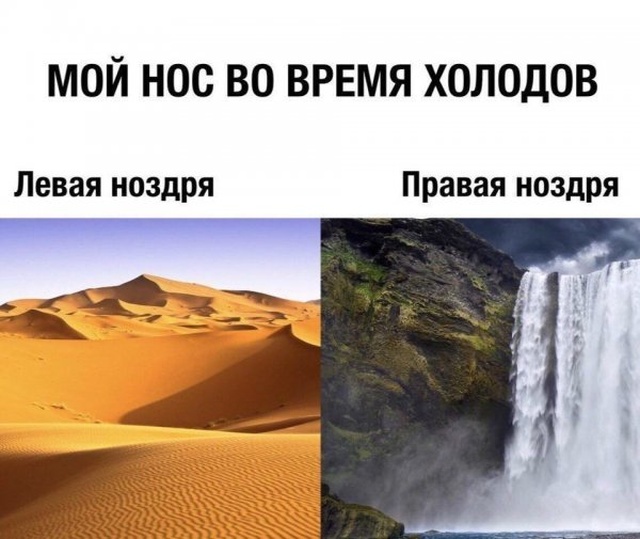 Шутки и и забавные картинки из социальных сетей