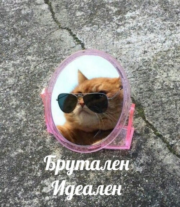 Шутки и и забавные картинки из социальных сетей