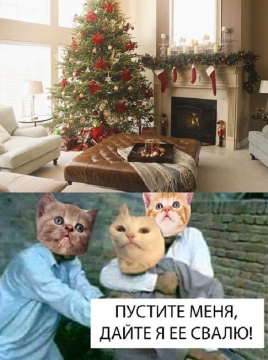Шутки и и забавные картинки из социальных сетей