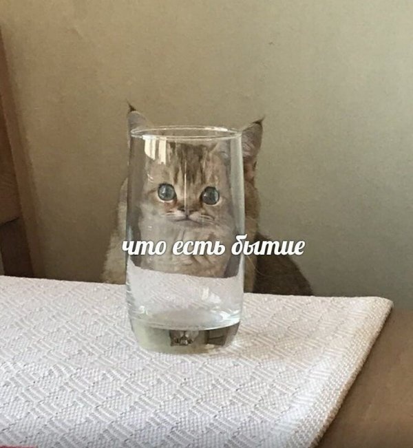 Шутки и и забавные картинки из социальных сетей