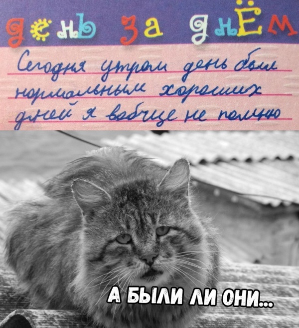 Прикольные картинки