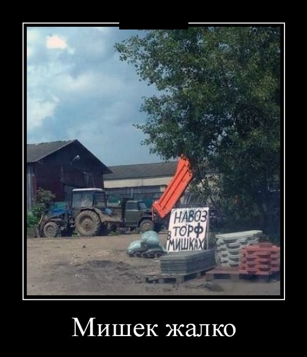 Демотиваторы