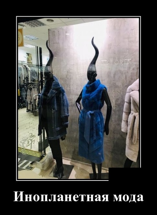 Демотиваторы