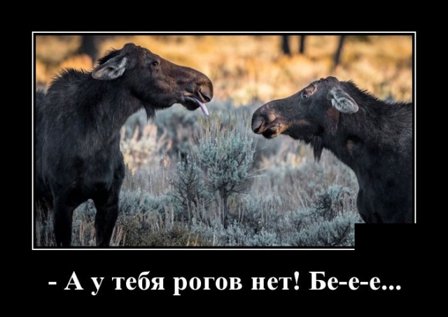 Демотиваторы