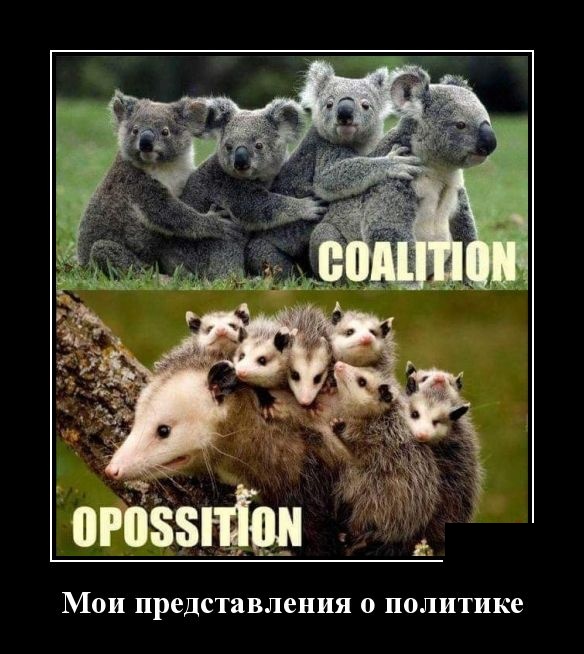 Демотиваторы