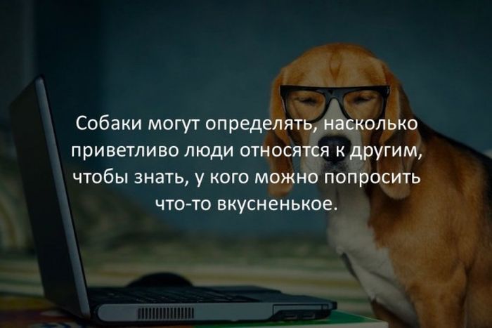 Интересные факты обо всем на свете
