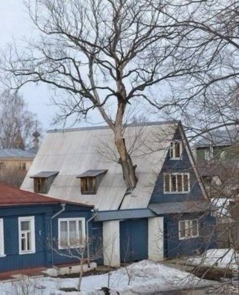 Фото, которые возможно было сделать только в России. Часть 54