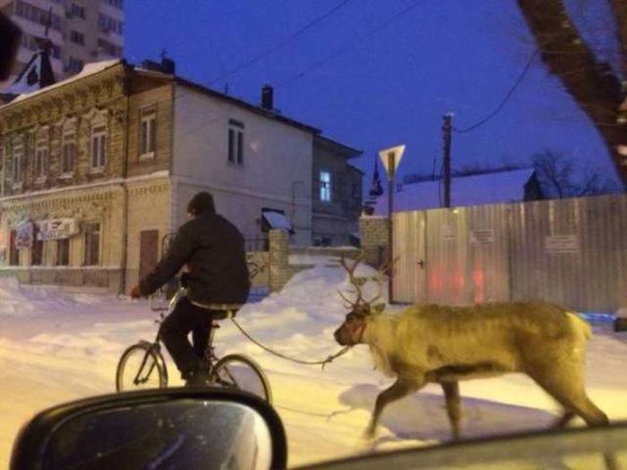 Фото, которые возможно было сделать только в России. Часть 54