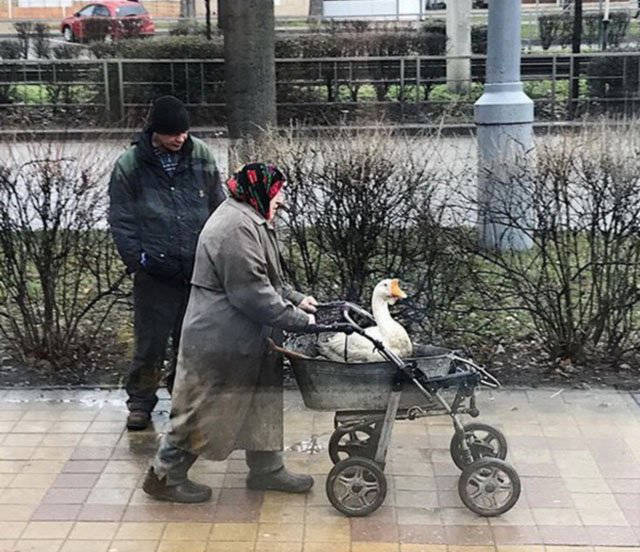 Фото, которые возможно было сделать только в России. Часть 54