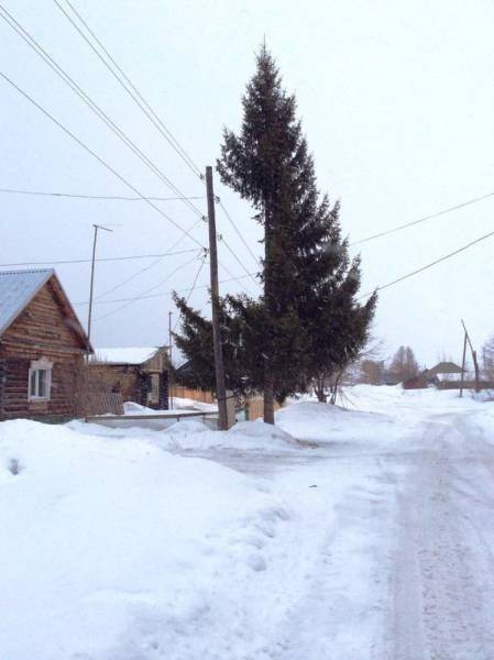 Фото, которые возможно было сделать только в России. Часть 54