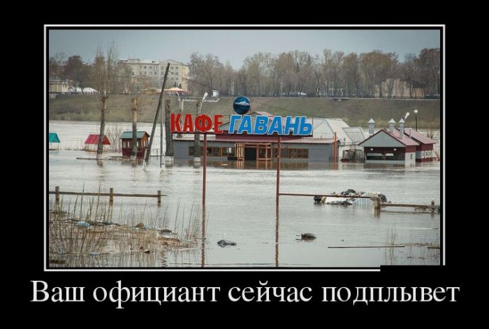 Демотиваторы