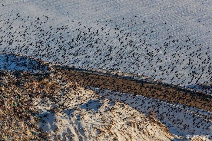 Как живут бомжи на городских свалках в зимнее время года
