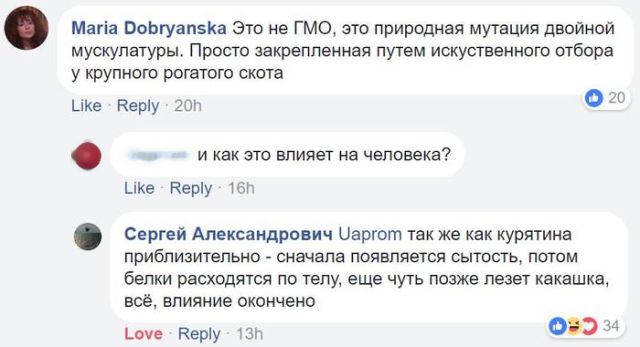 О влиянии генномодицированной говядины на организм человека