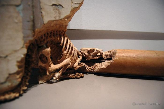 Искусство резьбы по дереву от Maskull Lasserre