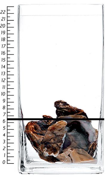 Олимпийскую дорогу можно было построить из черной икры и дорогого коньяка (9 фото)