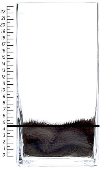 Олимпийскую дорогу можно было построить из черной икры и дорогого коньяка (9 фото)