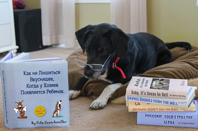 Творческие способы сообщения о беременности