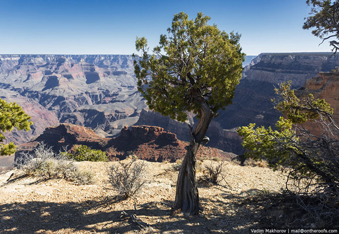 Автомобильное путешествие по США