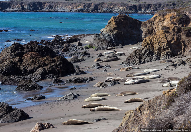 Автомобильное путешествие по США