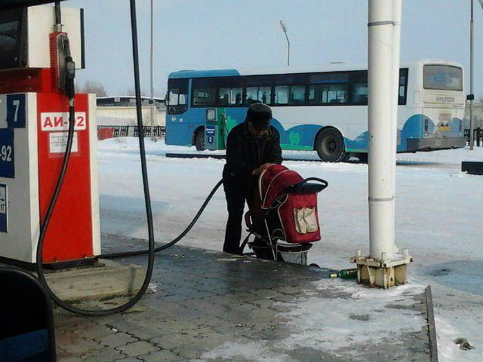 Порция картинок