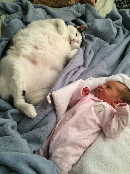 Порция картинок