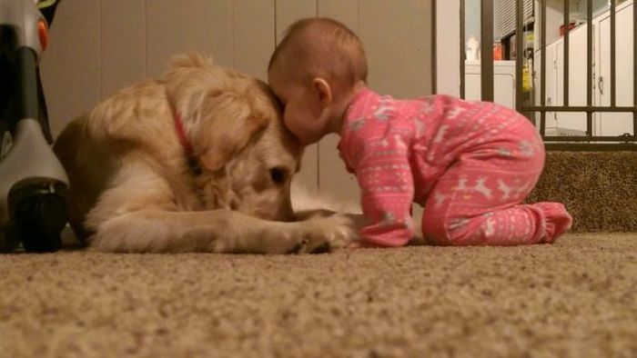 Порция картинок