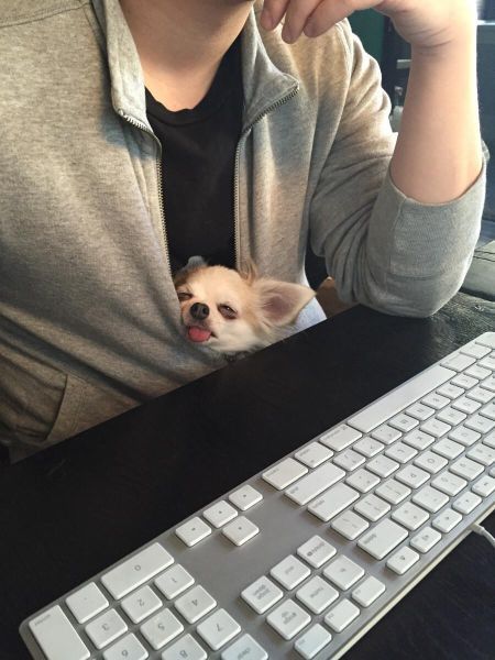 Порция картинок