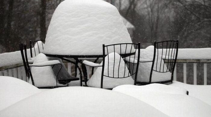 Порция картинок