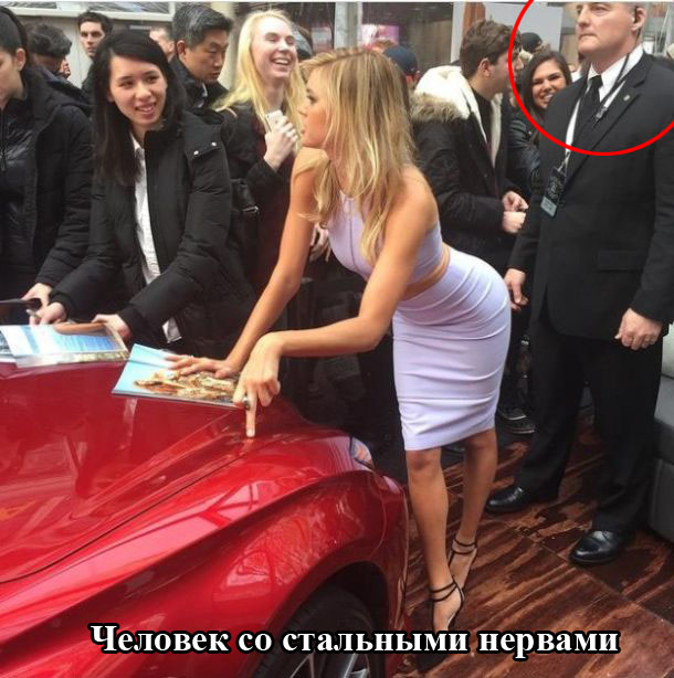 Порция картинок