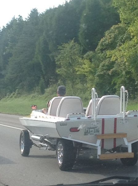 Порция картинок