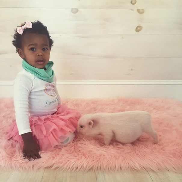 Милая дружба двухлетней девочки и поросенка