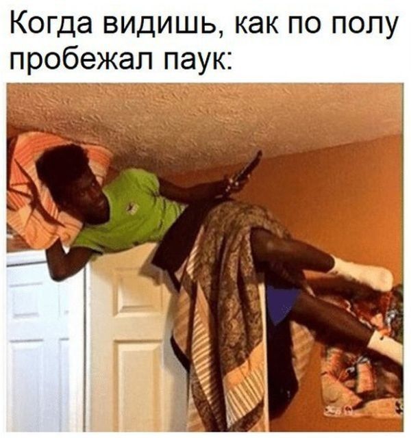 Смешные картинки с подписями