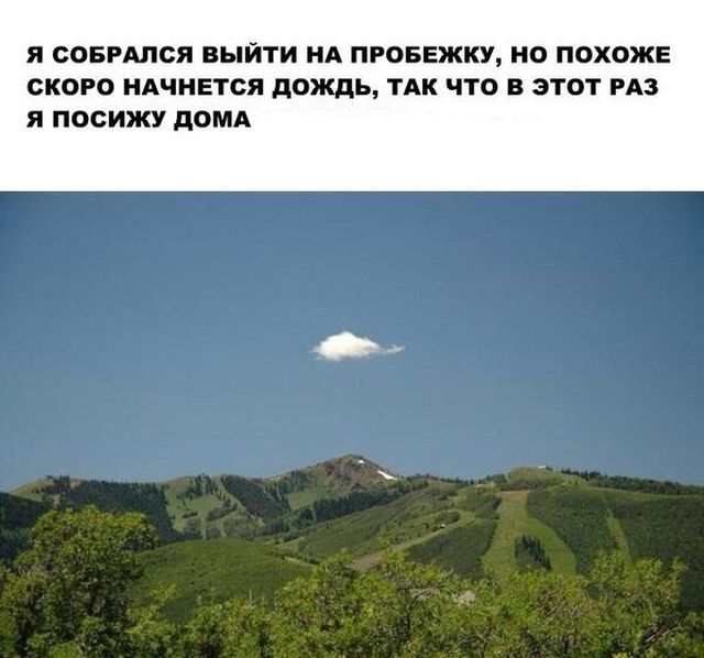 Смешные картинки с подписями