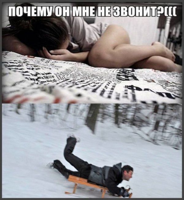 Смешные картинки с подписями