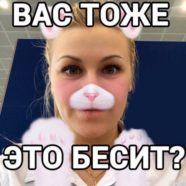 Смешные картинки с подписями