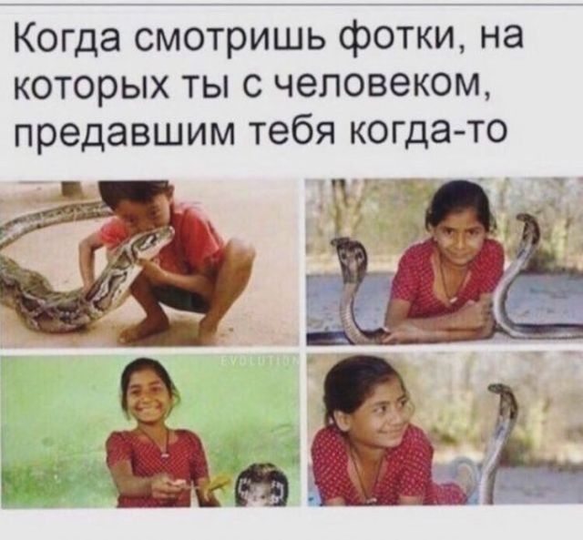 Смешные картинки с подписями
