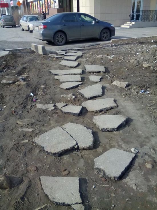 Прикольные картинки