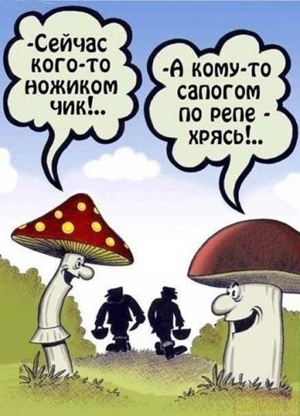 Смешные комиксы