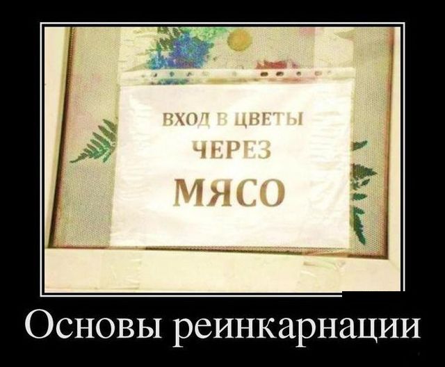 Демотиваторы