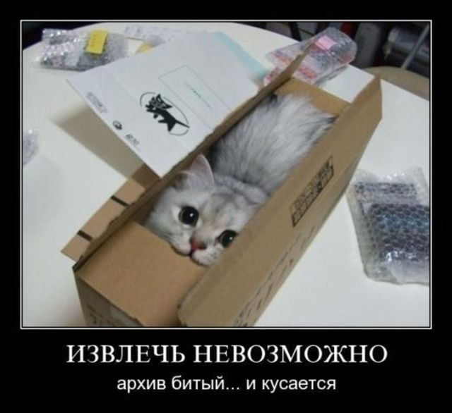Демотиваторы