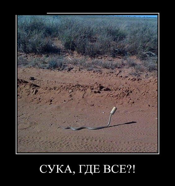 Демотиваторы