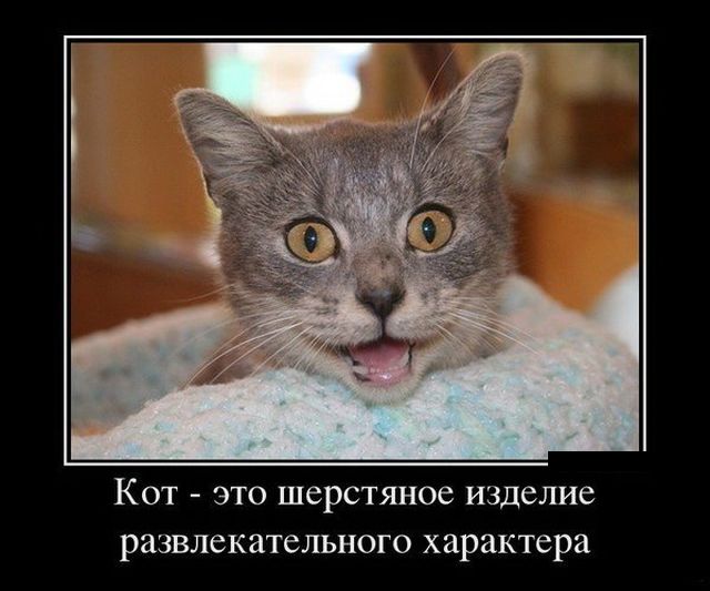 Демотиваторы