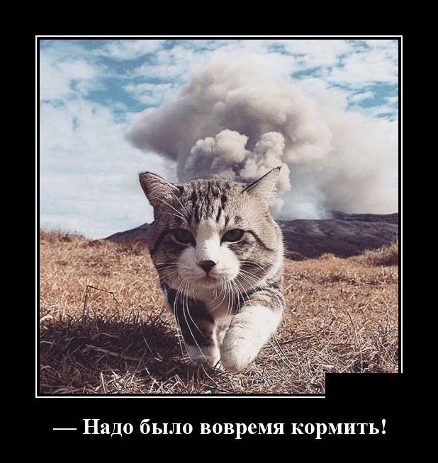 Демотиваторы