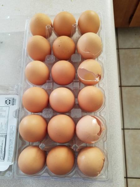 Вещи, которые многих раздражают