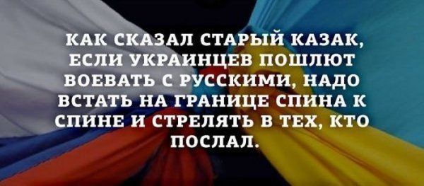 Прикольные картинки (88 фото)