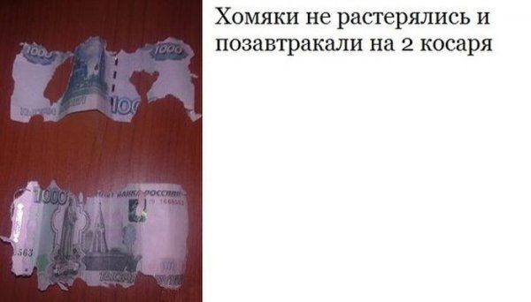 Прикольные картинки (88 фото)