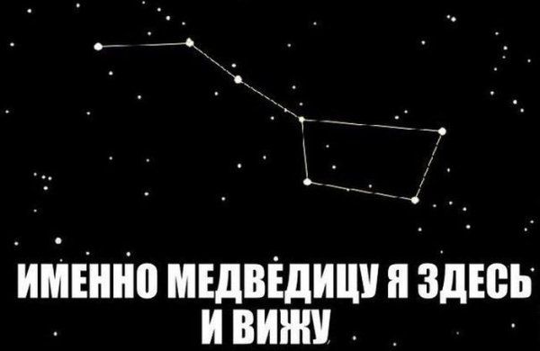 Прикольные картинки (88 фото)