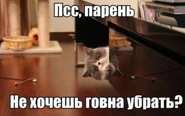 Прикольные картинки (88 фото)