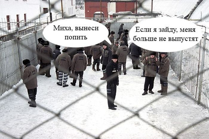 Порция картинок